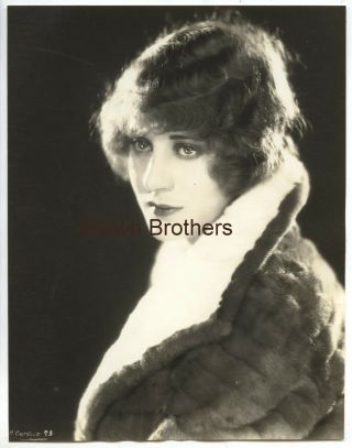 1920s Hollywood Helene Costello & Madge Bellamy Dbw Photos By Evans (2 Photos)