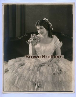 Vintage 1924 Hollywood Actress Florence Vidor As Dbw Photo - Brown Bros