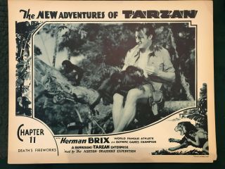 The Adventures Of Tarzan 1935 Burroughs 11x14 " Jungle Lobby Card Herman Brix