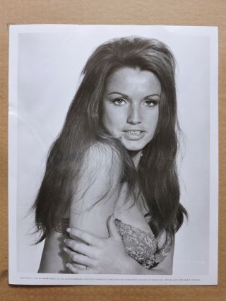 Imogen Hassall Busty Hammer Portrait Photo 1970 When Dinosaurs Ruled The Earth