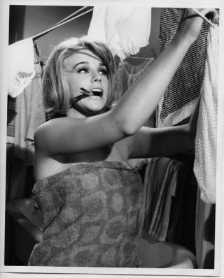 Ann - Margret Sexy Young Pose With Clothes Peg In Mouth The Pleasure Seekers