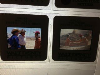 Holes Media Promo Press Kit Photo Slides From Walt Disney Dvd/blu - Ray Movie