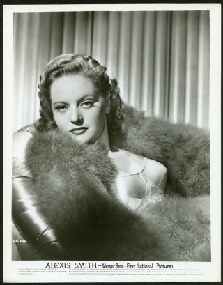 Alexis Smith In Alluring Portrait Vintage 1940s Warner Bros.  Photo
