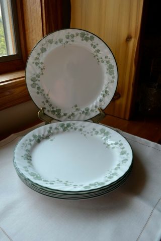 Set Of 6 Corelle Callaway Ivy Dinner Plates 10 1/8 " White W/green Trim Swirl Rim