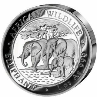 2013 Somalia Elephant High Relief African Wildlife Proof Silver Coin W/ Box