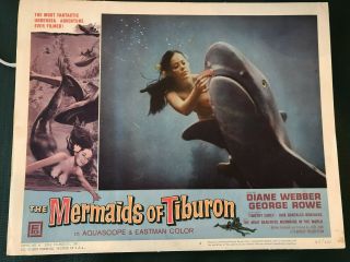 The Mermaids Of Tiburon 1962 Filmgroup 11x14 " Underwater Lobby Card Diane Webber