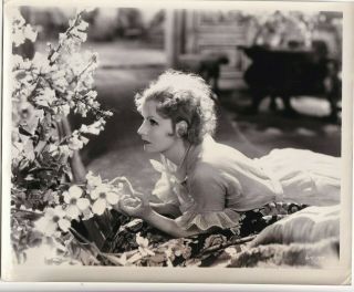 Greta Garbo Stunning Portrait As You Desire Alluring Pose 1932 Orig Photo 21