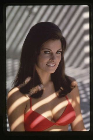 Raquel Welch Gorgeous Sexy Glamour Pin Up Red Bikini 1960s Transparency