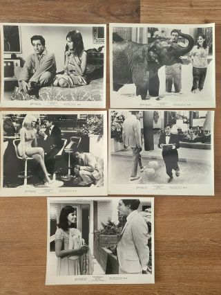 (40) Movie Stills Peter Sellers The Party /two Way Stretch/a Shot In The Dark