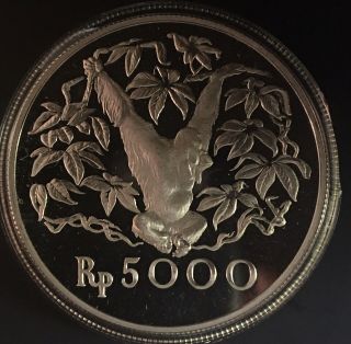1974 Indonesia 5000 Silver Rupiah Proof Orangutan Frosty Gem