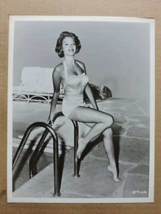 June Blair Leggy Barefoot Swimsuit Pinup Portrait Photo 1961