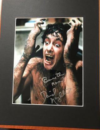 David Naughton American Werewolf In London) Signed Matted With