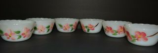 Vintage Fire - King Set Of 6 Peach Blossom Custard Cups Handpainted Oven Ware