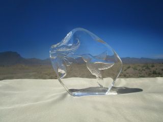 Beautifully Crafted,  Reverse Laser Etched Clear Glass Hummingbird Paperweight 3