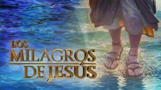 Los Milagros De Jesus 2 Temp,  Serie Brasil,  12 Discos,  35 Cap.  2014 - 15,  Excelente