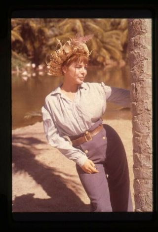 Swiss Family Robinson Janet Munro Portrait 35mm Transparency Re - Release
