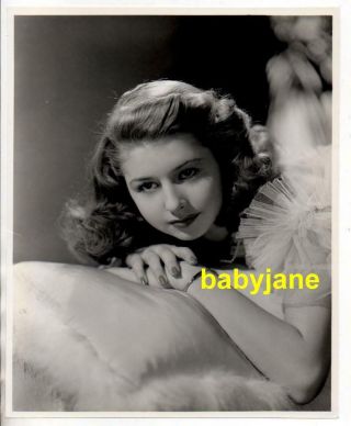 Virginia Weidler 8x10 Photo By Clarence Sinclair Bull 1943 Mgm Portrait