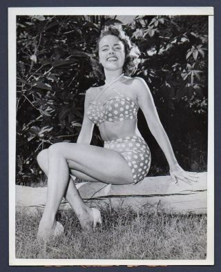 Terry Moore Busty Leggy Actress 1953 Vintage Orig Photo 7x9 Swimsuit Cheesecake