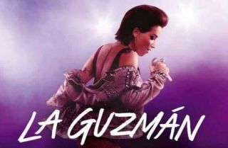LA GUZMAN - SERIE MEXICO - - 15 DVD,  59 CAPITULOS.  2019 - - - EXCELENTE 2