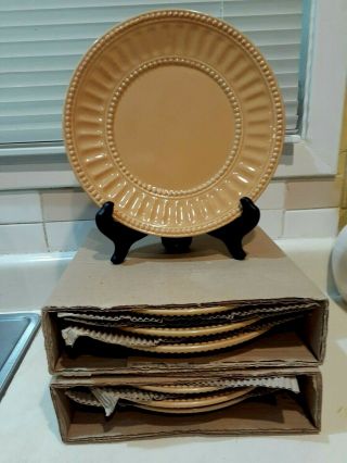Set Of 7 Homestead By At Home America Ironstone Dinner Plates Gold