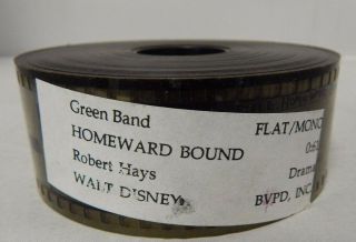 1993 Homeward Bound The Incredible Journey 35 Mm Movie Reel Trailer Film Rare