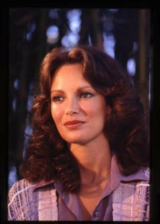 Jaclyn Smith Charlies Angels Gorgeous Portrait 1970 