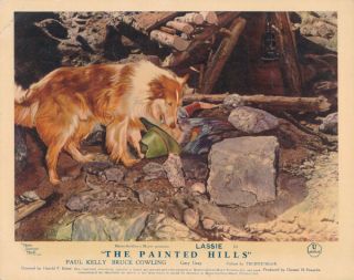 The Painted Hills Lobby Card Lassie The Dog 1951