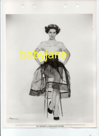 Pat Crowley Vintage 8x11 Keybook Photo 1953 Leggy Pinup In See Thru Skirt