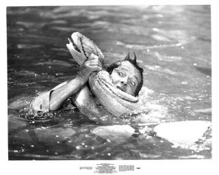 Moonraker James Bond Roger Moore Fighting Giant Python Snake Photo 1979
