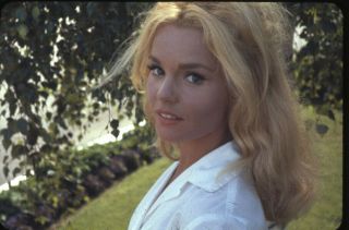 Tuesday Weld Lovely Glamour Portrait Photo Vintage 35mm Transparency