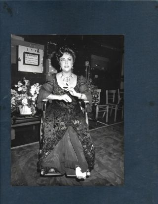 1982 Press Photo Elizabeth Taylor Pose Fancy Dress Portrait Keystone R3