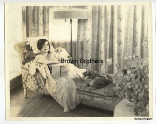 Vintage 1920s Hollywood Alma Rubens Relaxing W/pekinese On Chaise Photo