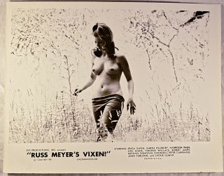 " Vixen " 1968 Erica Gavin 8 " X10 " Press Kit Promotional Still B/w Russ Meyer
