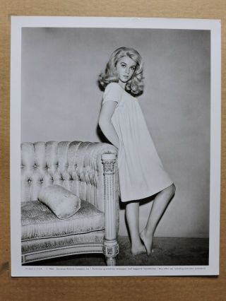 Ann - Margret Leggy Barefoot Candid Portrait Photo 1964 Kitten With A Whip
