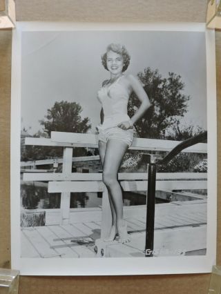 Terry Moore Leggy Barefoot Swimsuit Pinup Portrait Photo 1950 
