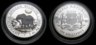 2011 Somali Republic 1 Oz Silver 100 Shillings African Wildlife Elephant Coin