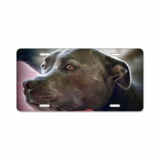Cafepress Loving Pitbull Eyes License Plate (1618410308)