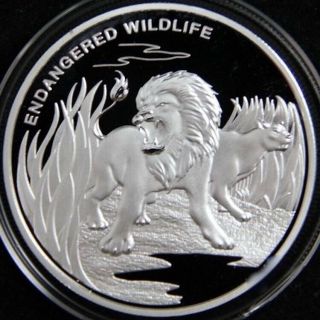 2007 Congo 10 Franc Silver Proof Lions Ngc Pf - 69 Ucam,  Top Pop 1