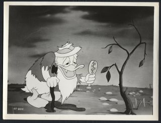 Donald Duck (1940s) Cartoon Animation Walt Disney Old Man