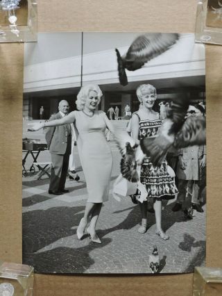 Mamie Van Doren At The Venice Film Festival Orig Busty Candid News Photo 1958