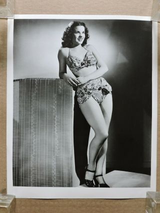 Jean Peters Leggy Swimsuit Pinup Studio Portrait Photo 1950 