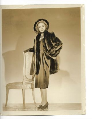 Evelyn Keyes Lovely Stylish Pose Portrait 1940s Orig Vintage Photo 95