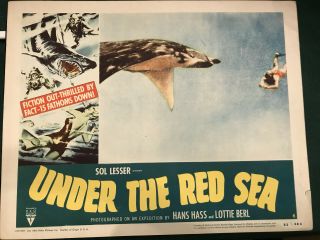 Under The Red Sea 1952 Rko 11x14 " Deep Sea Diving Lobby Card Lottie Hess