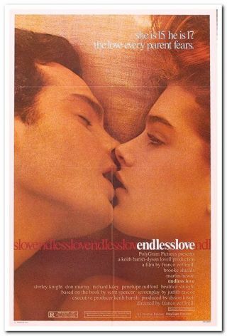 Endless Love - 1981 - 27x41 Movie Poster - Brooke Shields,  Martin Hewitt