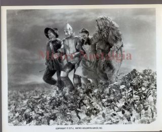 Vintage Photo 1939 Judy Garland Wizard Of Oz Mgm R 