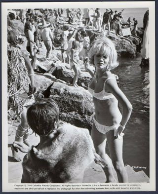 Judy Geeson Bikini Party Girl Hammerhead Vintage Photo British Film Sexy Actress