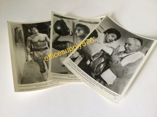 Sylvester Stallone Rocky 1976 Talia Shire 3) B&w Press Kit Stills Rare Meredith