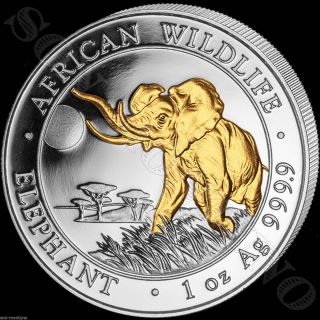 2016 Somalia Elephant Gilded In 24k Gold 1 Oz.  9999 Silver African Wildlife Coin