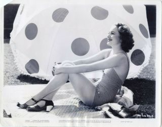 Young Olivia De Havilland In Bathing Suit Photo 8x10