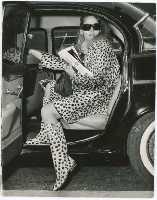 Ursula Andress In Head - To - Toe Leopard 1966 Candid Press Photograph